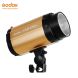 GODOX Smart 250SDI Studio Lampe Kopf
