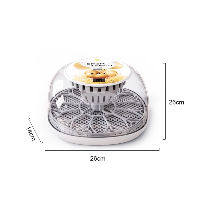 12 Eier Geflügel Brutschrank Eier-Inkubator