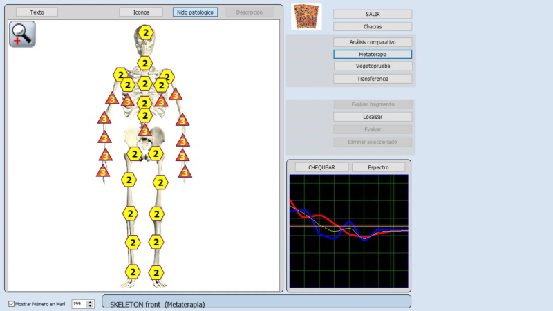 Quantum body analyzer