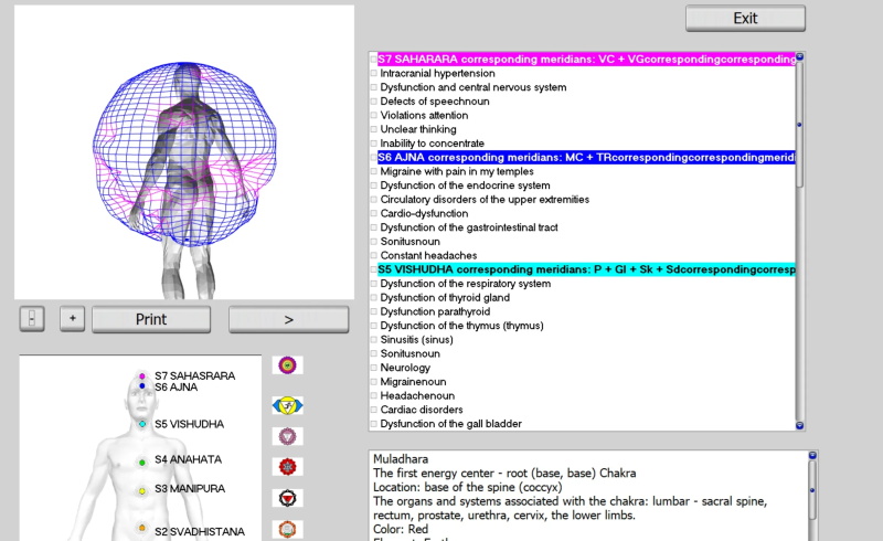 Quantum body analyzer