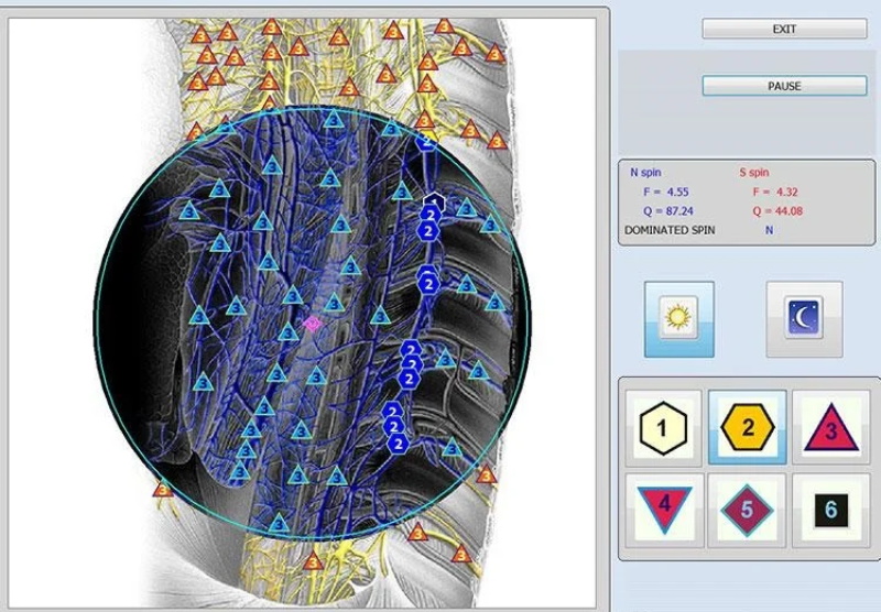 Quantum body analyzer