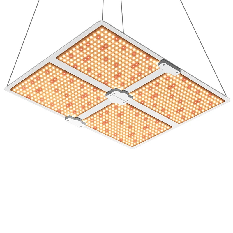 LED Wachsen Lichter