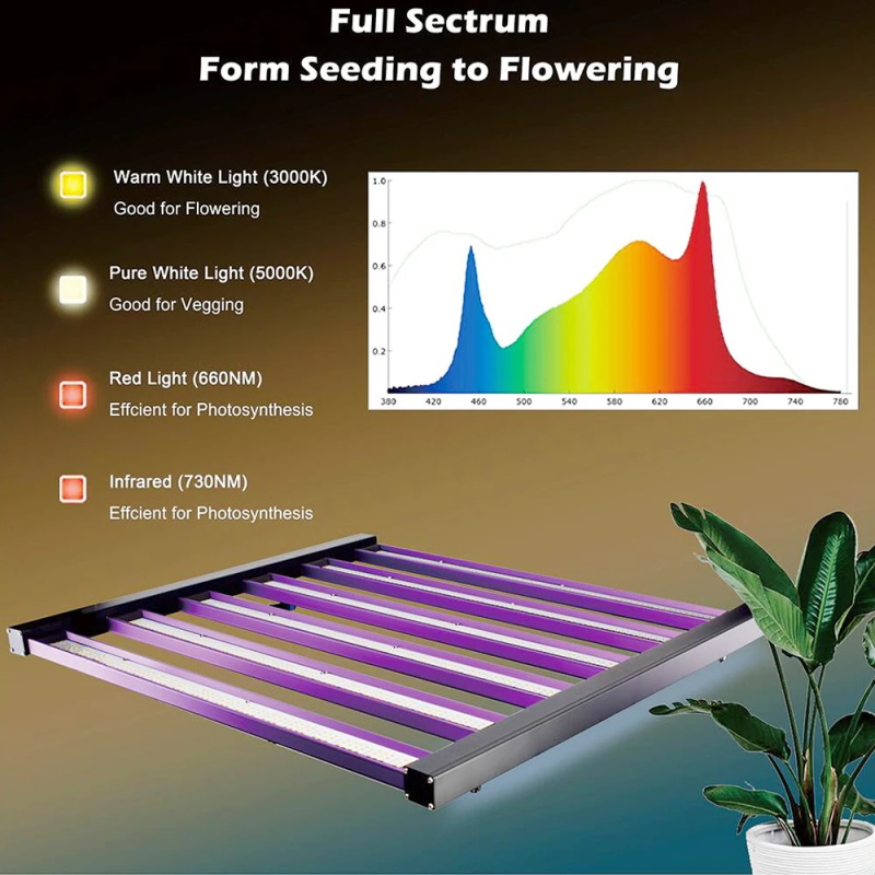 LED Wachsen Licht Samsung