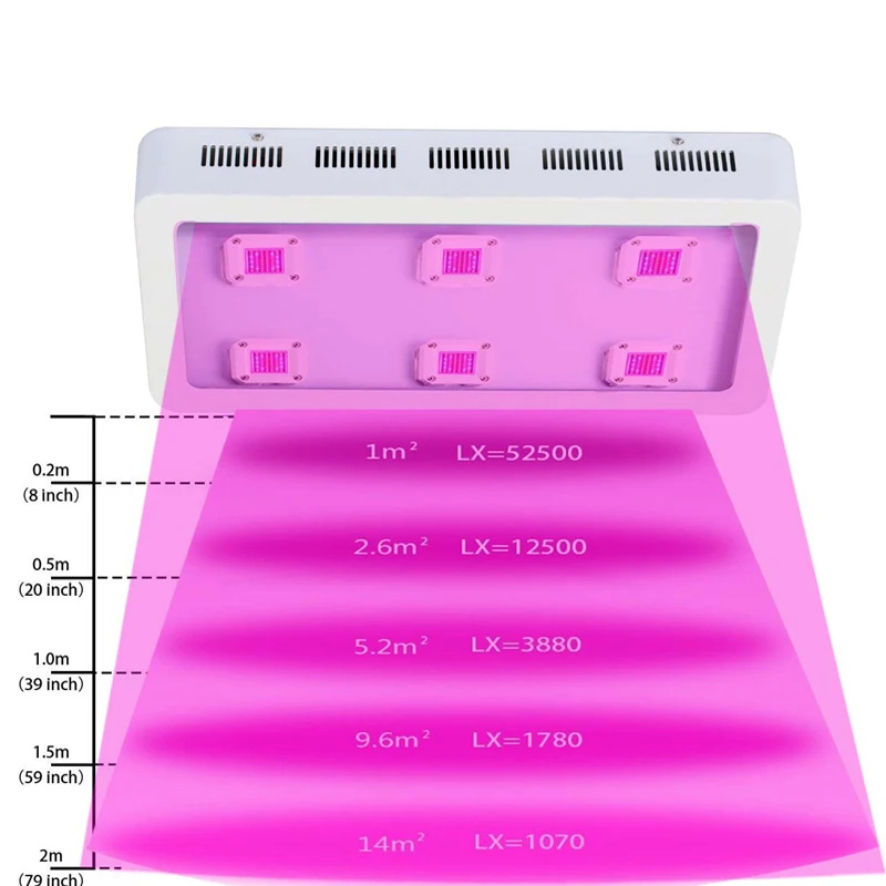 LED élèvent la lumière